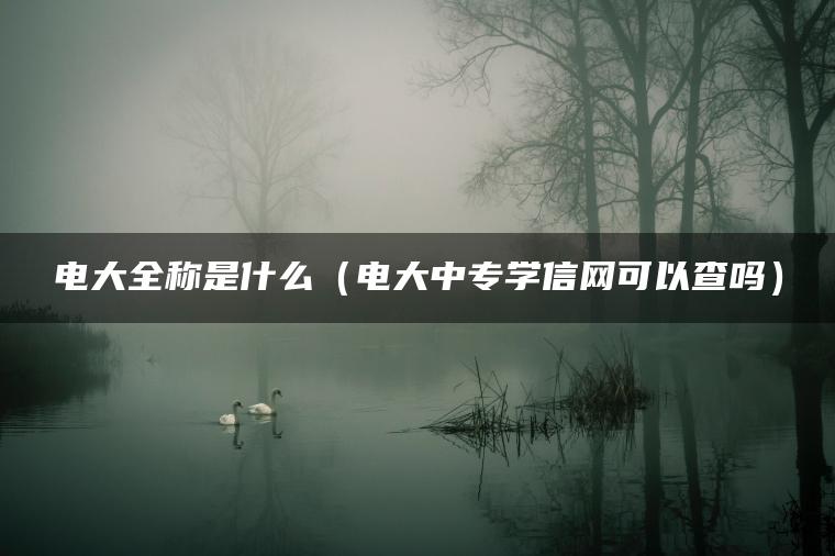 电大全称是什么（电大中专学信网可以查吗）