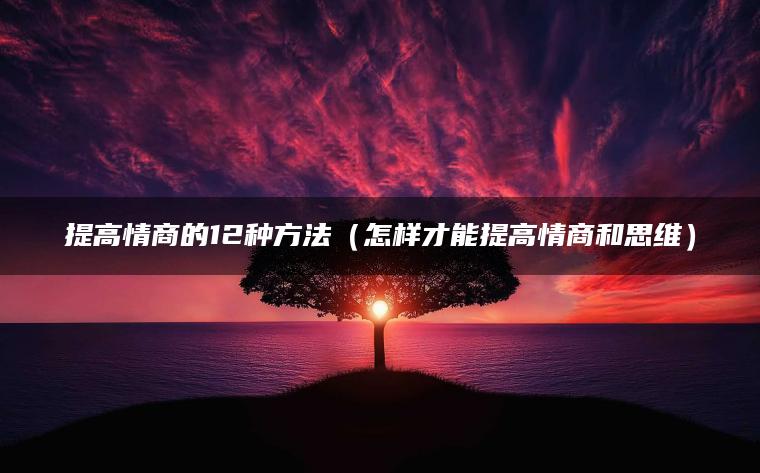 提高情商的12种方法（怎样才能提高情商和思维）