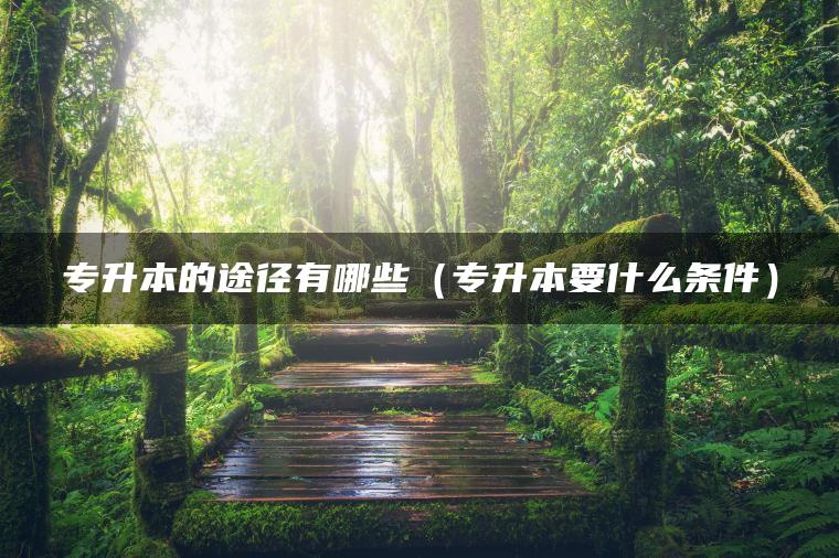 专升本的途径有哪些（专升本要什么条件）