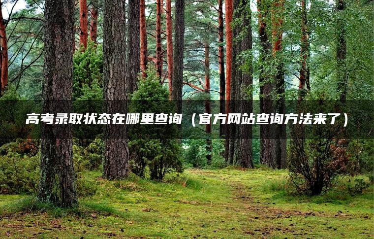 高考录取状态在哪里查询(官方网站查询方法来了)-79学习网