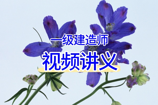 王硕男2026年一建教学视频百度网盘(高频考点班+案例题专项)-79学习网