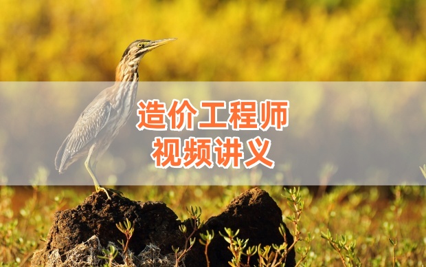 孙琦2026年一级造价师土建计量精品精讲完整版视频课件【推荐】-79学习网