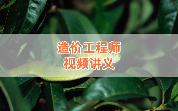 2026年一级造价工程师《计价》赵知启精讲班视频教程【完整版】-79学习网