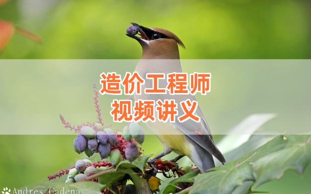 李毅佳2026年一级造价师土建计量核心考点精讲完整版网课课件【强烈推荐】