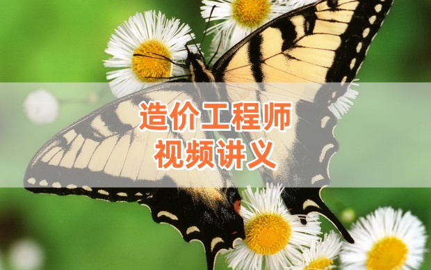 李玲玉2026年一级造价师《安装计量》高清精讲班视频讲义合集-79学习网