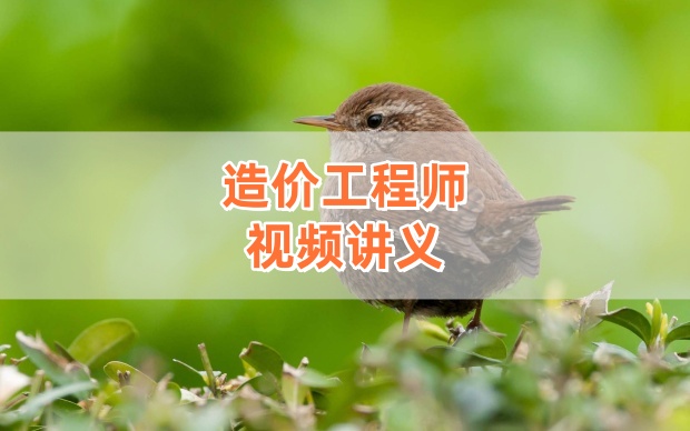 2026年一级造价师土建计量孙翠霞考点精讲班全套视频教程