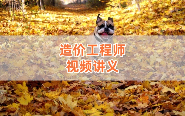 杨海军一级造价师《安装计量》2026最新网课精讲通关班-79学习网