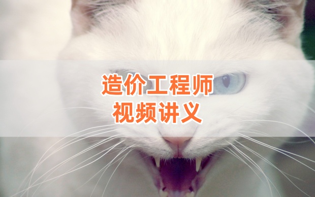 杨润东2026年一级造价工程师《计价》面授直播精讲课程【完整】-79学习网