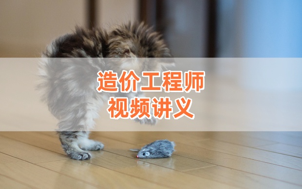 柯洪2026年一级造价师《计价》精讲班课程含讲义【推荐】-79学习网