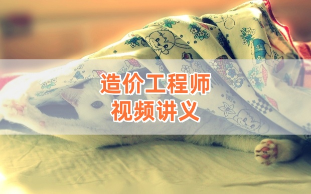 2026年邓娇娇一级造价师《计价》工程量清单计价标准专题精讲【完整版】-79学习网