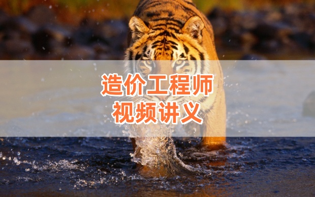 王晓波2026年一级造价师《计价》精讲通关班网课【完整版】-79学习网
