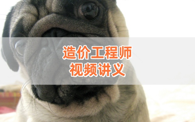 丁雷老师2026年一级造价师土建计量珠峰直播精讲课程讲义-79学习网