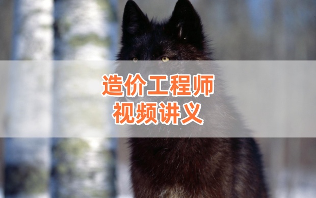 2026年一级造价工程师《计价》陈钰莹精讲视频网课【完整版】-79学习网