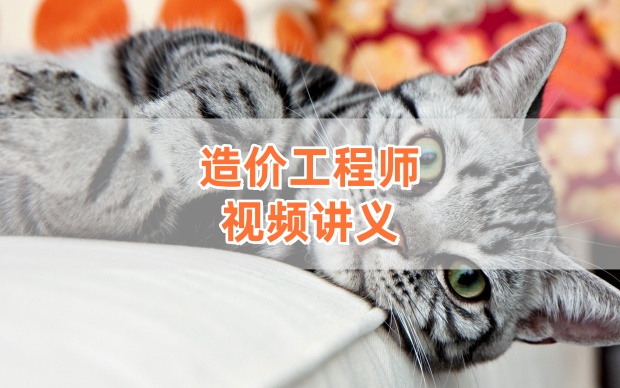 吴新华2026年一级造价师土建计量系统精讲班完整版视频课件-79学习网