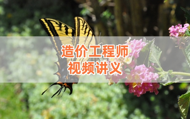 李恺2026年一级造价工程师《安装案例》全套精讲班视频课件-79学习网