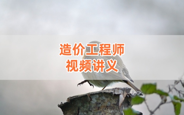 袁磊2026年一级造价师土建计量全程精讲课完整版网课课件-79学习网