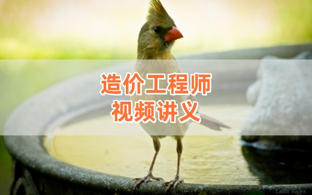 2026年一级造价工程师《安装计量》深度精讲班-赵斌视频讲义（完结）-79学习网