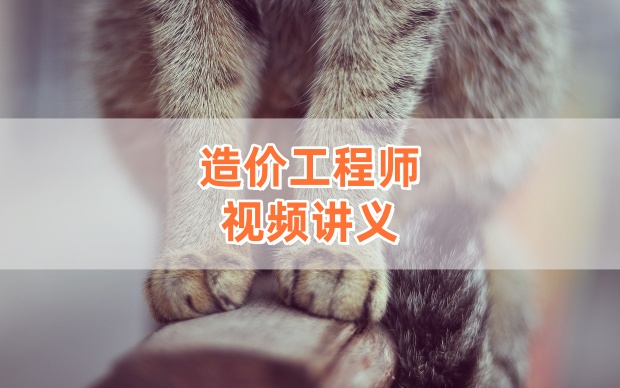 吴新华2026年一级造价工程师造价管理视频精讲课（含课件+考点资料）【完整】