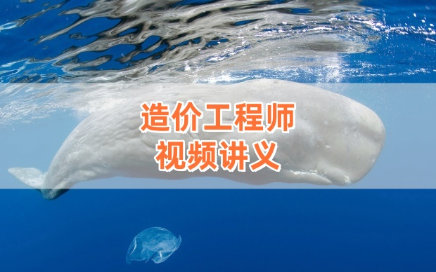 2026年李娜一级造价工程师《计价》精讲班视频课程【完整版-推荐】-79学习网