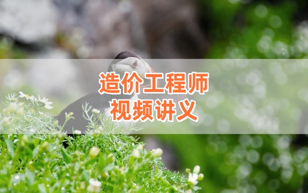 2026年一级造价师镇元子土建计量全程精讲班完整版视频课件-79学习网