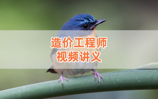 杨润东2026年一级造价工程师《安装计量》珠峰直播班视频百度网盘课件下载-79学习网