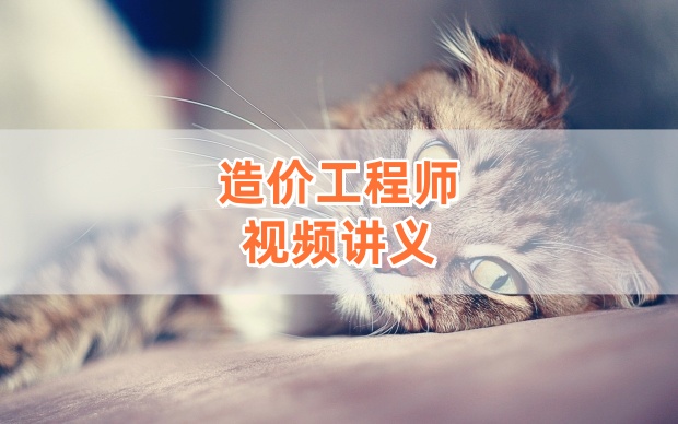 杨强2026年一级造价工程师《管理》深度精讲视频（完整+课件+讲义）-79学习网