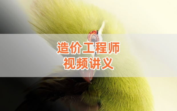 2026年一级造价师王兴宇土建计量精讲通关完整版网课讲义-79学习网