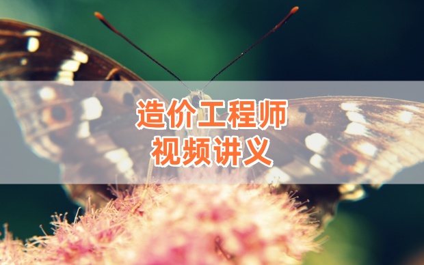 2026年一级造价工程师杨润东《土建、安装案例》珠峰直播班视频讲义-79学习网