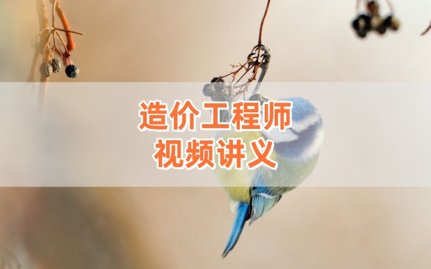 2026年王洪强一级造价师土建计量专项精讲课全套视频教程-79学习网